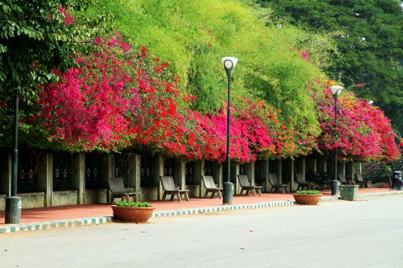 albagh Botanical Gardens, Bangalore