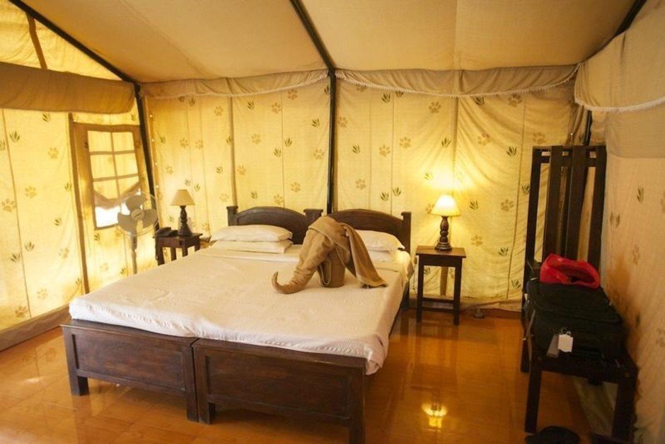 Lion Safari Camp