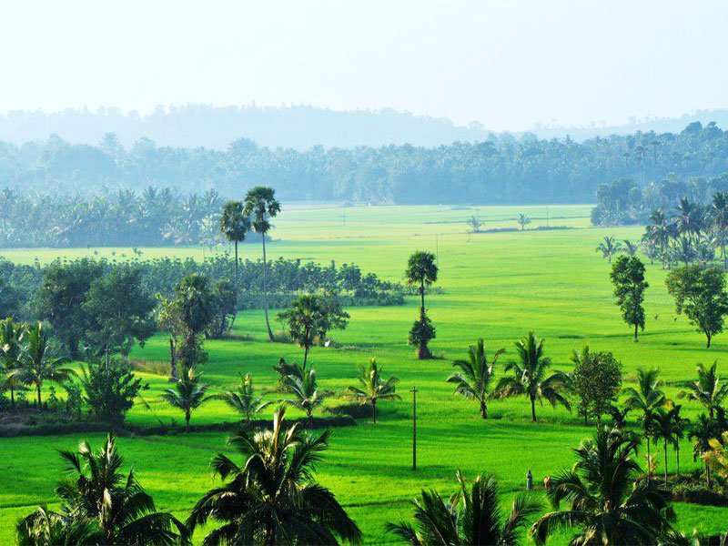 Palakkad