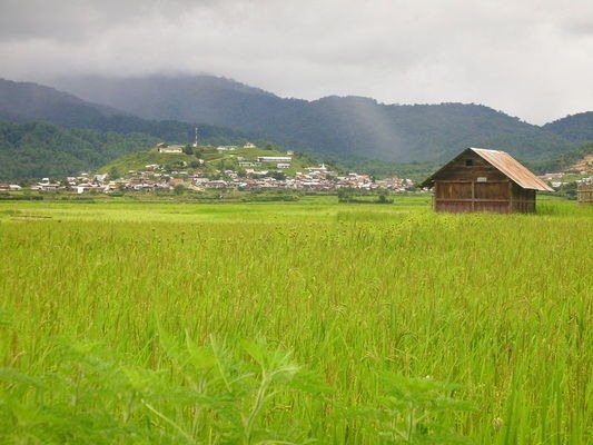 ZIRO