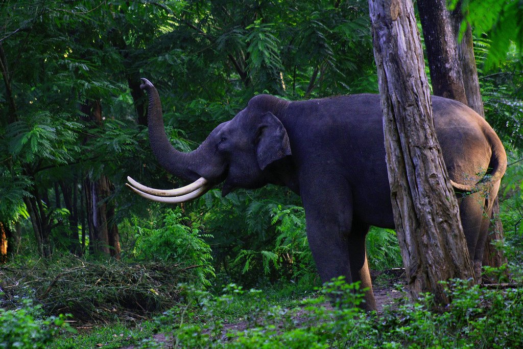 Talley Valley Wildlife Sanctuary