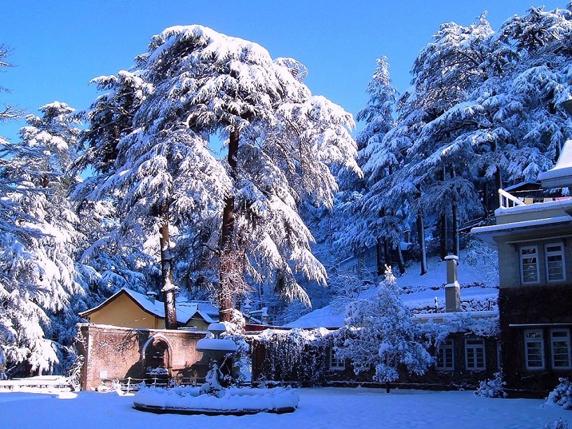 Shimla