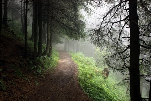 Kalatope Wildlife Sanctuary