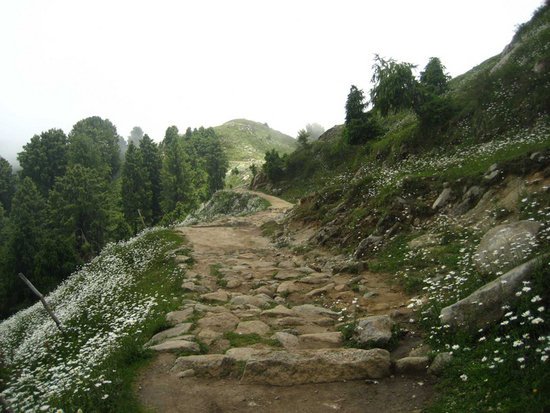 Dainkund Peak