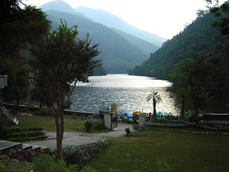 Rani Tal