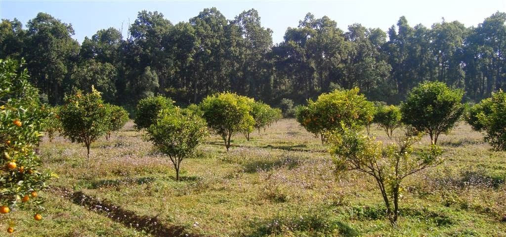 Dhaula Kuan