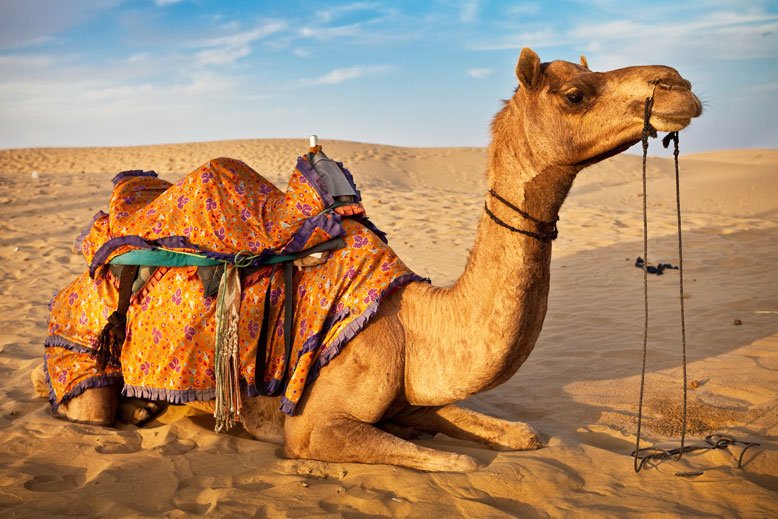 Rajasthan