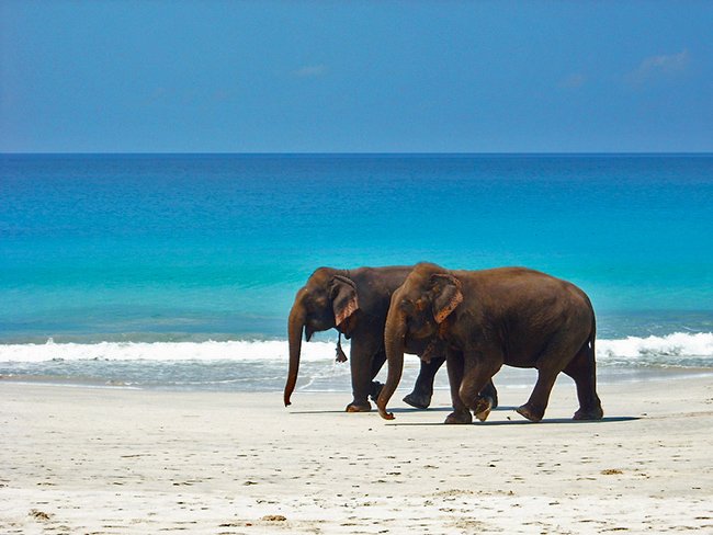 Port Blair ~ Havelock Island